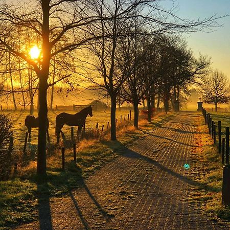 B&B Zandhuizen Bagian luar foto