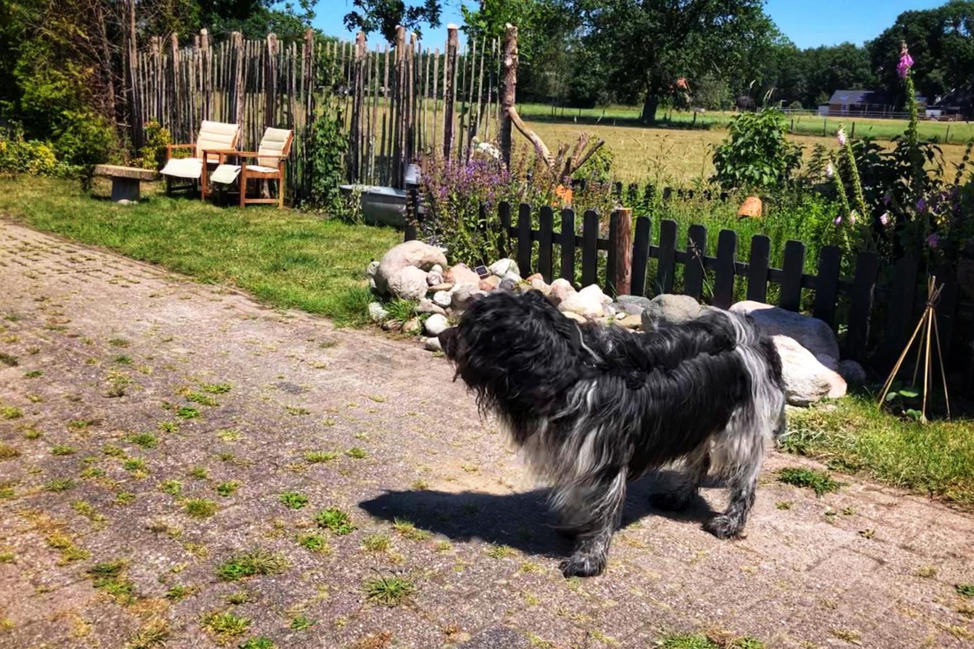 B&B Zandhuizen Bagian luar foto