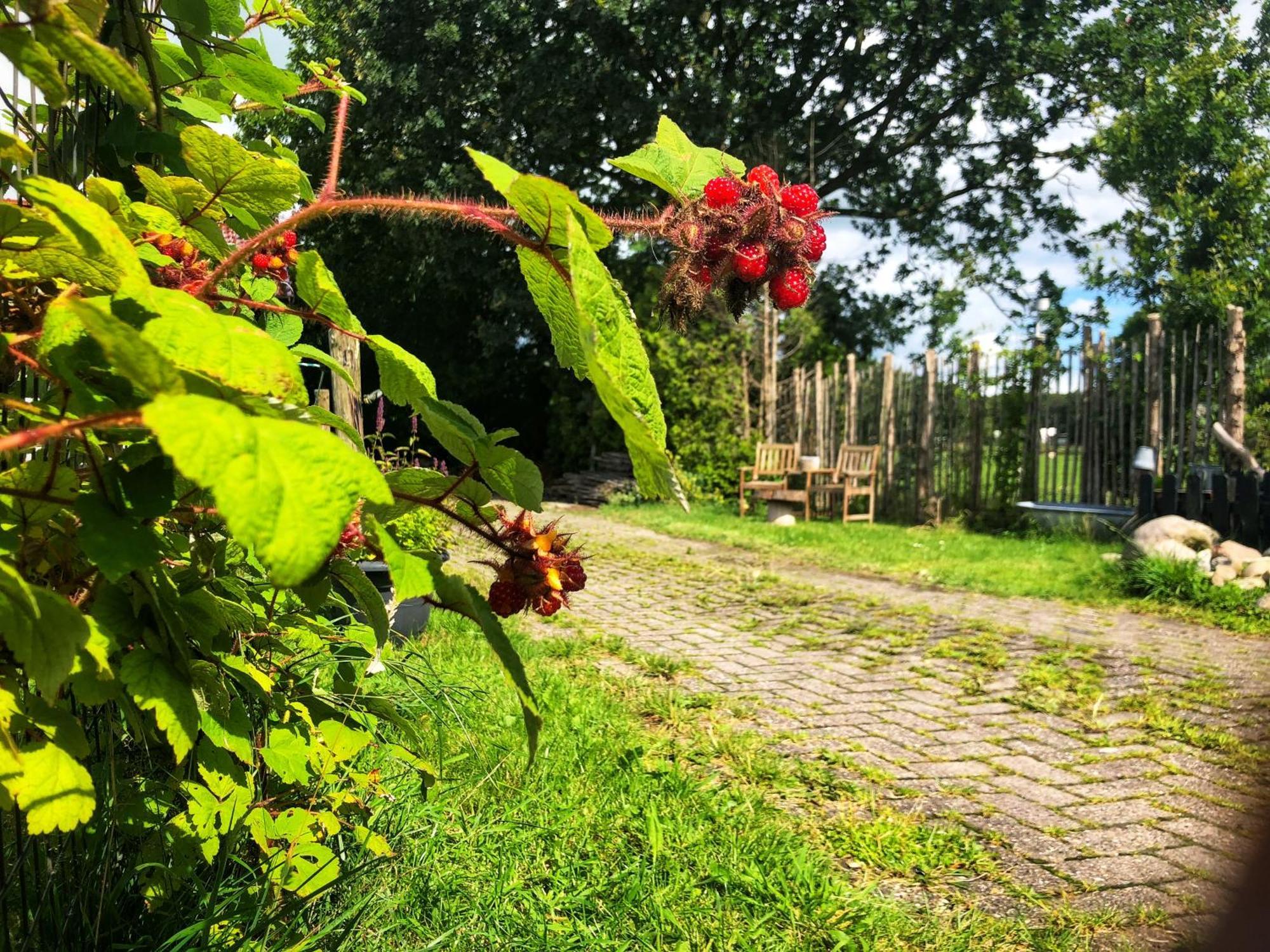 B&B Zandhuizen Bagian luar foto