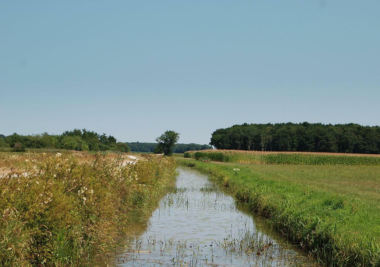 B&B Zandhuizen Bagian luar foto