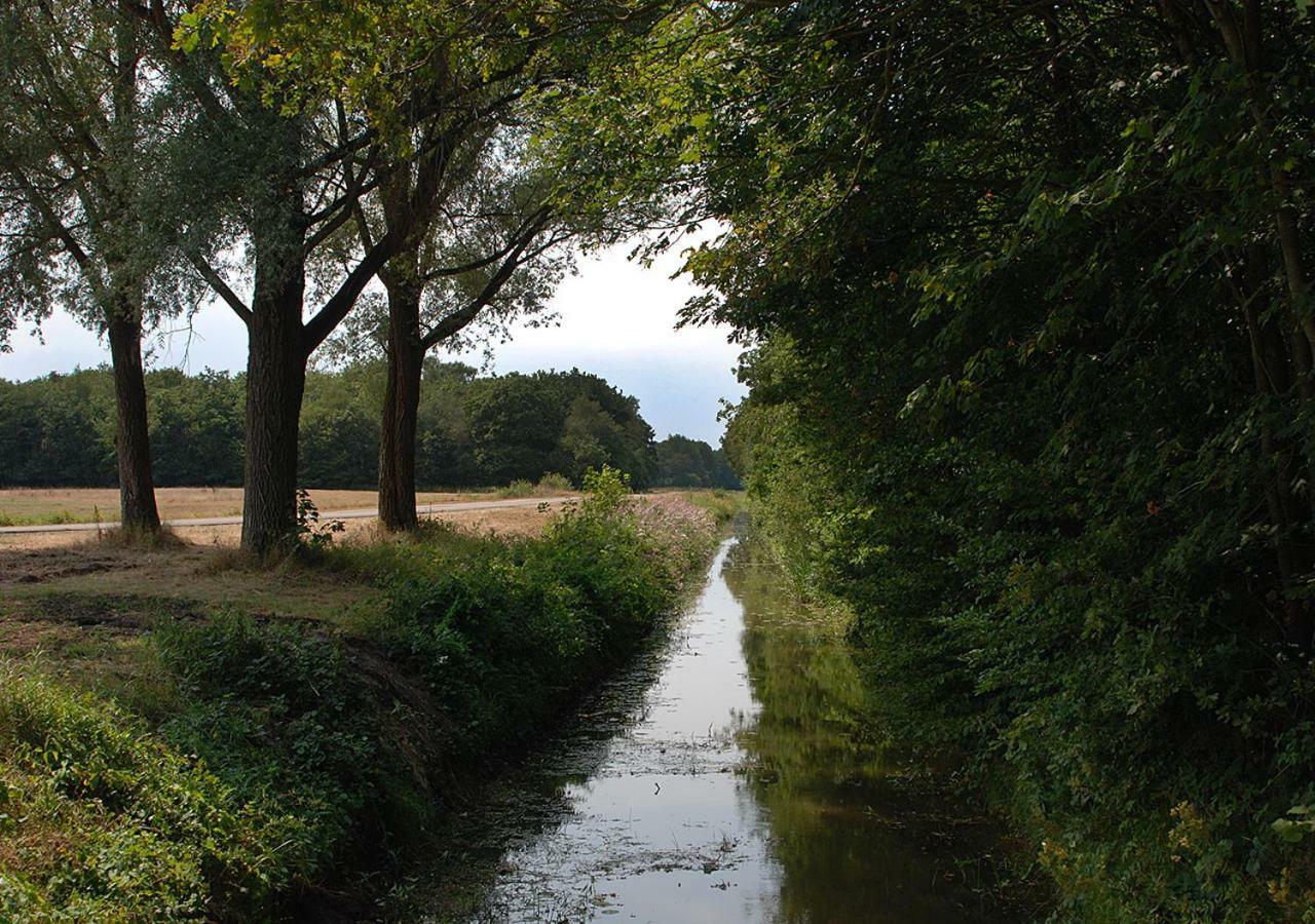 B&B Zandhuizen Bagian luar foto